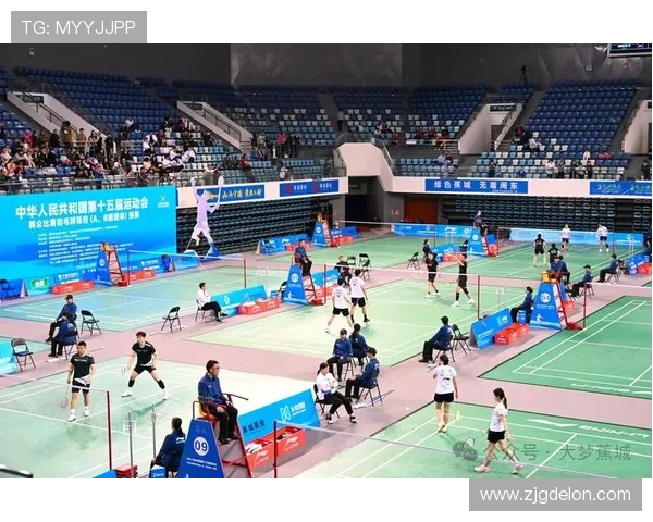 羽毛球的魅力与精神：深入南京羽毛球队的训练与文化探讨